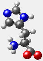  Model of the amino acid L-histidine 
 Black: carbon        Blue: nitrogen
 White: hydrogen    Red: oxygen