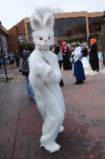 Anime Detour 2008
