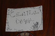 Anime Detour 2008