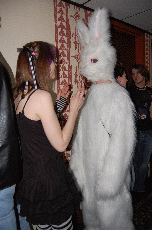 Anime Detour 2008