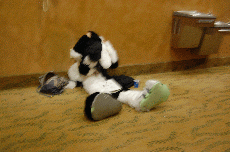 Anime Detour 2009