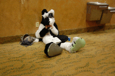 Anime Detour 2009