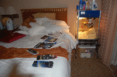 Anime Detour 2009
