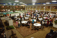 Anime Detour 2010