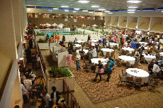 Anime Detour 2010