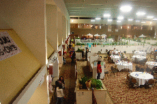Anime Detour 2010