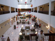 CONvergence 2006