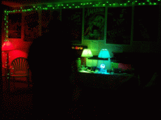 CONvergence 2006