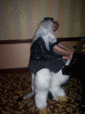 CONvergence 2006