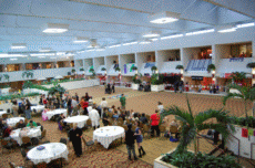 2007-Convergence