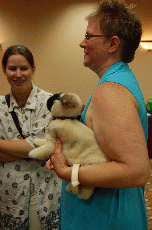 CVG2008
