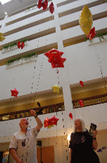 CVG2008