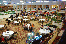 CVG2008