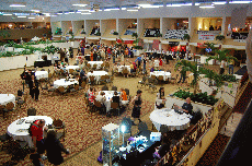 CVG2008