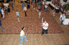 CVG2008