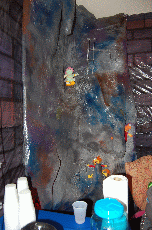 CVG2008