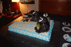 CVG2008