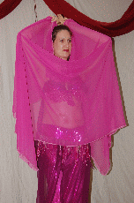 CVG2008