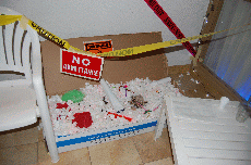 CVG2008