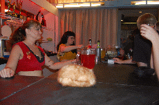 CVG2008