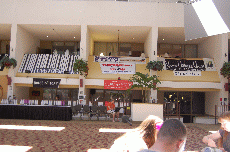 CVG2008