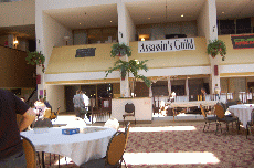 CVG2008