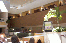 CVG2008