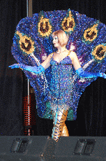 CVG2008