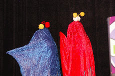 CVG2008