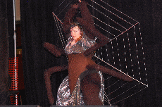 CVG2008