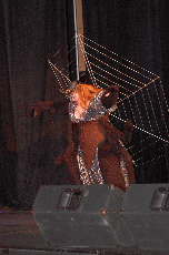 CVG2008