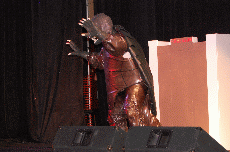 CVG2008
