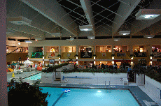 CVG2008