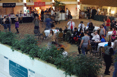 CVG2008