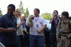 CVG2008