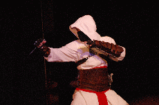 CVG2008