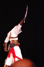 CVG2008