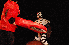 CVG2008