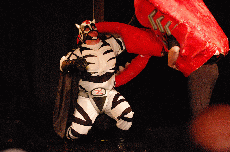 CVG2008