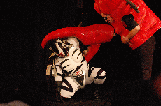 CVG2008