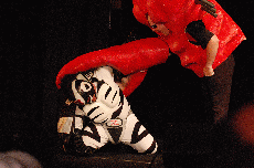 CVG2008