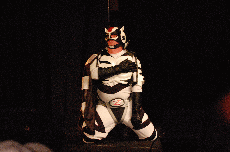 CVG2008