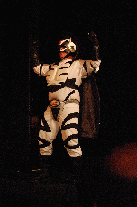 CVG2008