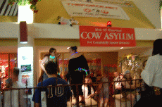 CVG2008