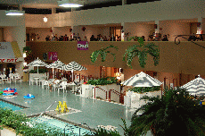 CVG2008