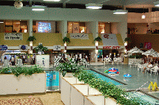 CVG2008