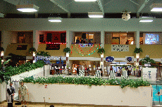 CVG2008