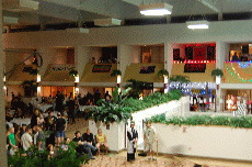 CVG2008