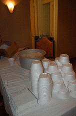 CVG2008
