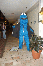 CVG2008